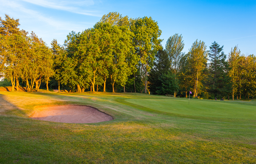 Carousel Desktop Society