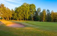 Carousel Desktop Society