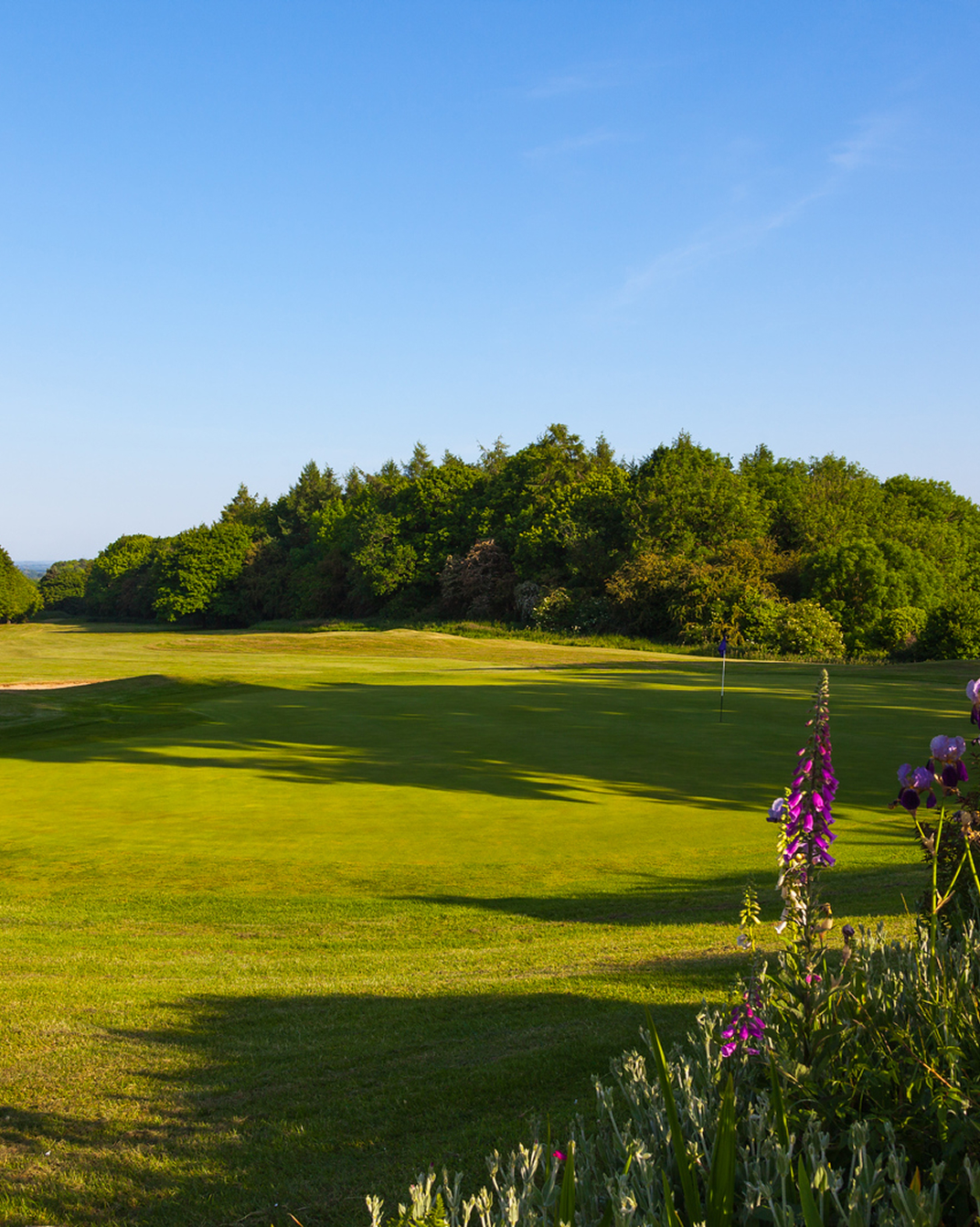 Socialsharing Desktop 1