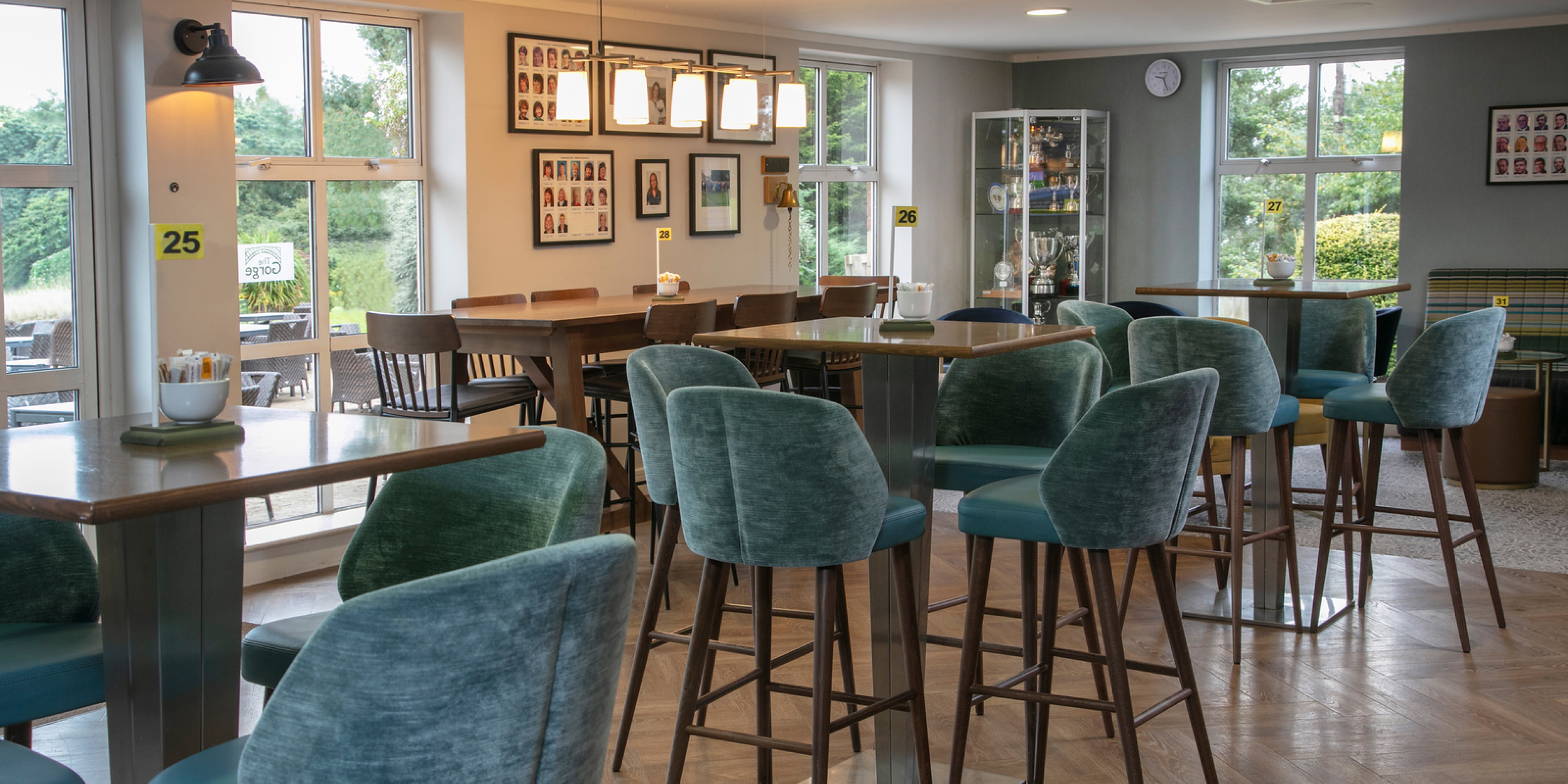 Tripadvisortestimonial Desktop