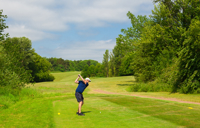 Carousel Desktop Membership