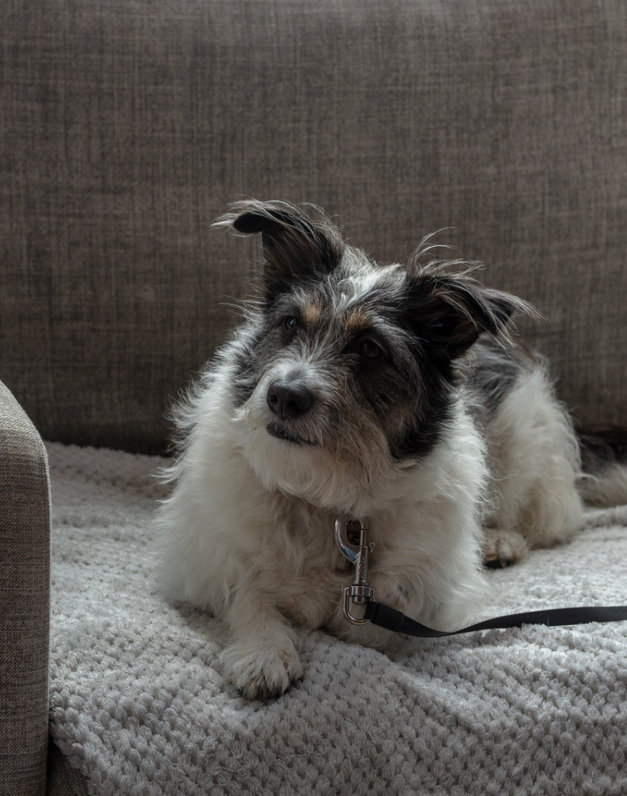 Crosssell Desktop Primary CTA 1 (Policy)