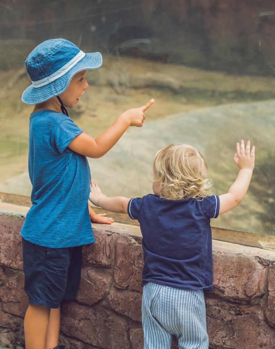 Crosssell Desktop Primary CTA TTD