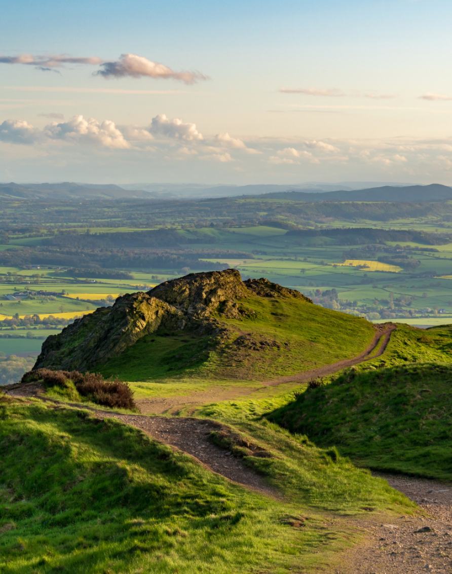 Crosssell Desktop Primary CTA TTD