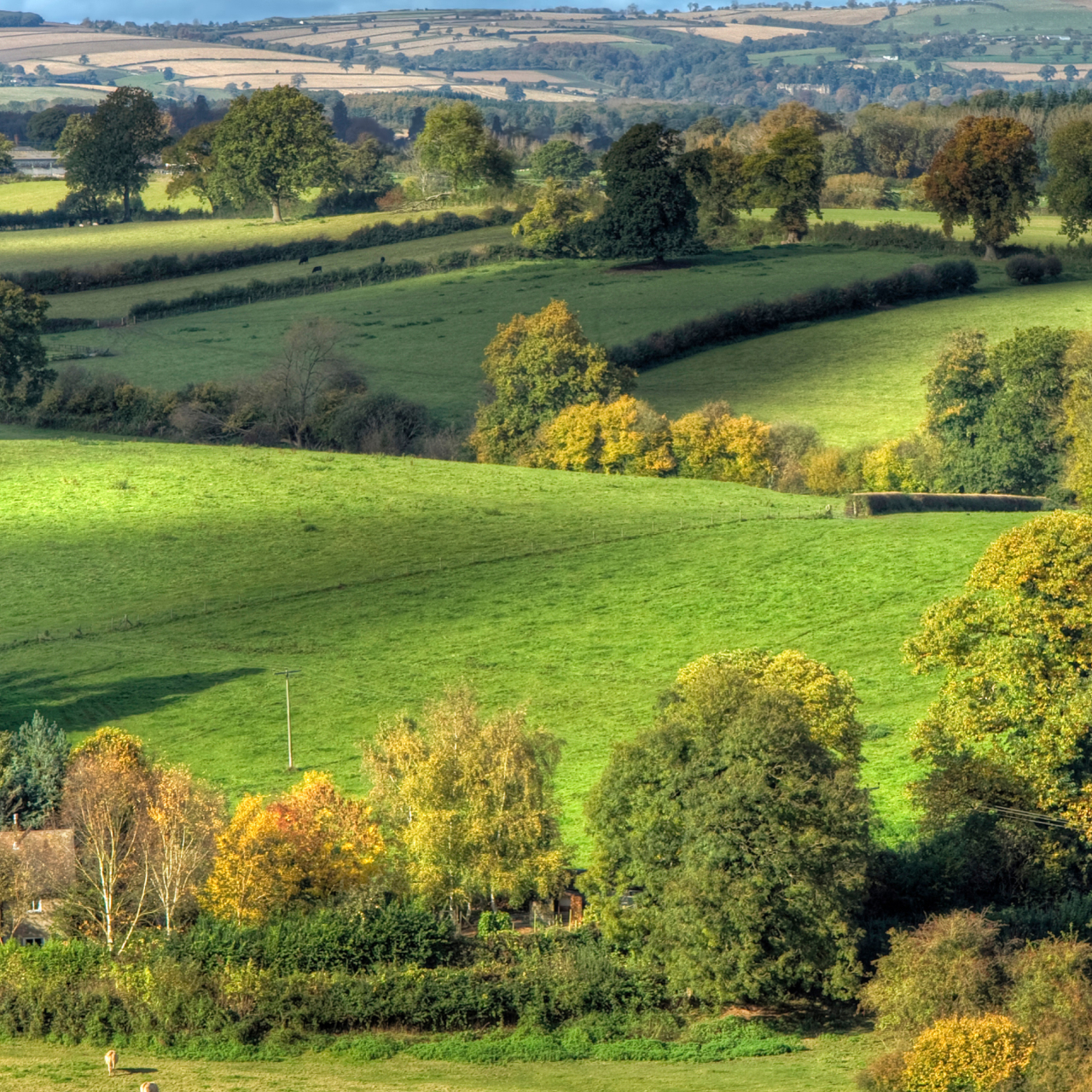 Shropshire Hills 5050