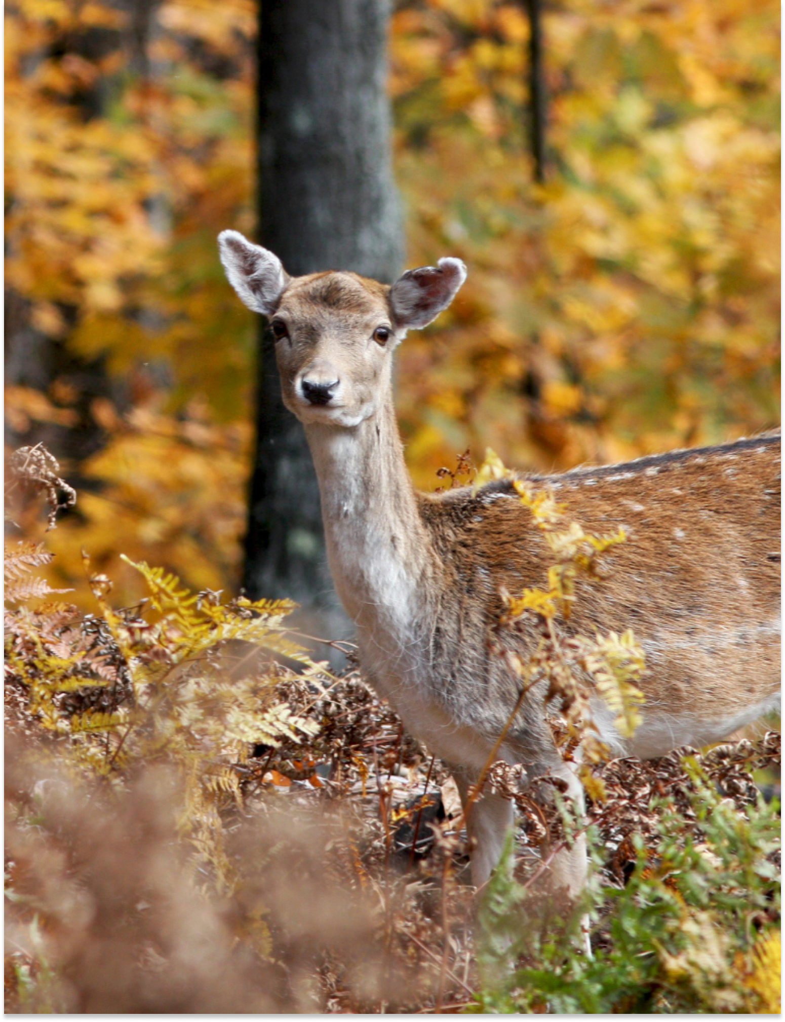 Inner Desktop Banner 6