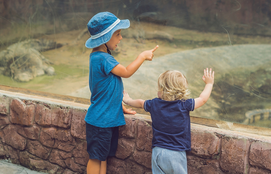 Carousel Desktop Family