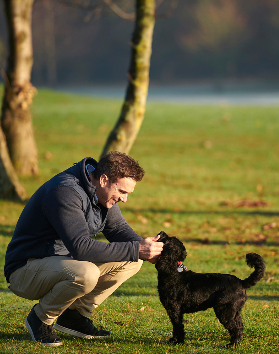 Crosssell Desktop Primary CTA 2 (Walks)